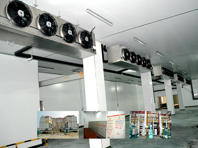 ����ʳ����ҵ10000�����