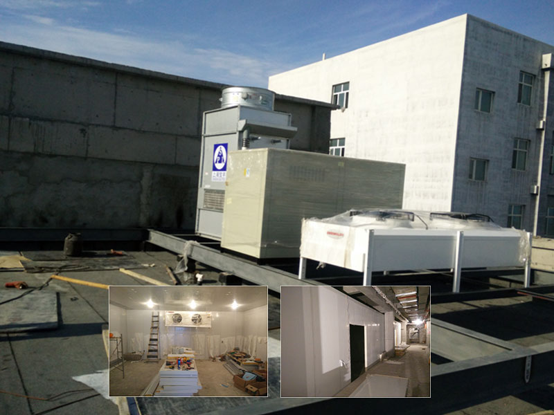 н®¸É¹û±£ÏÊÀä¿âÏîÄ¿