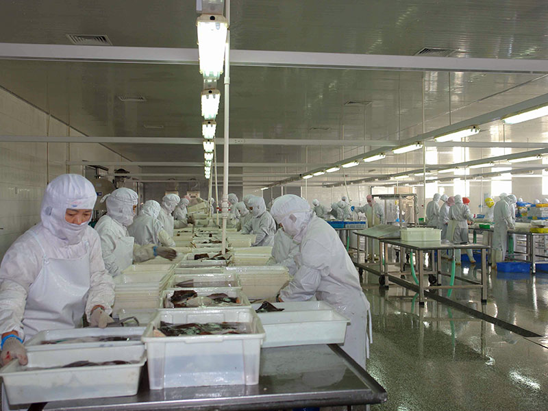 տ��ʳ��10���޳�����