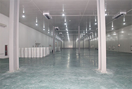 ����������Ҫ�����������