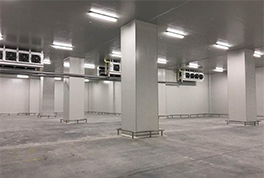 �������ı���ά��Ҫ��