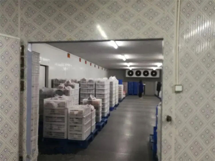 �������ʳ�������ؿ⹤��װ��Ӱ���öȵ���������