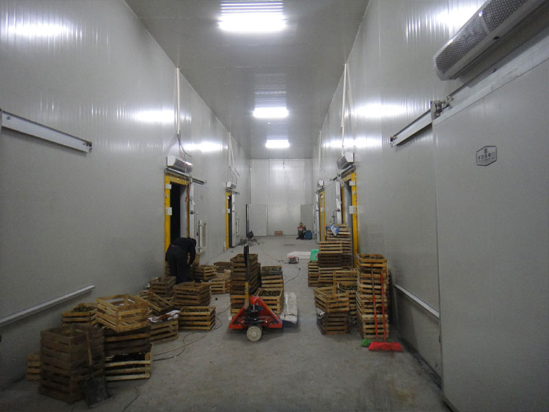 ��һ��100�������Ҫ����Ǯ