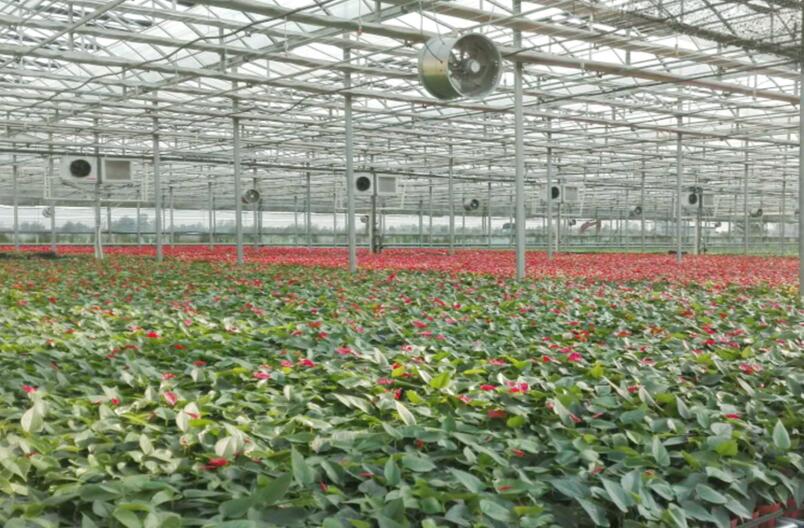 �ۺ���ҵ������Ŀ